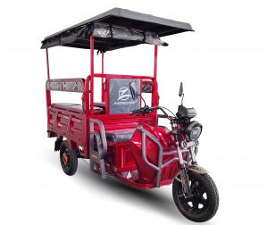 E-CARGO- TRICICLO ELECTRICO 3 RUEDAS MISHOZUKI